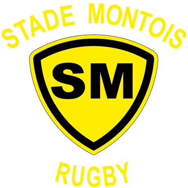 Stade Montois