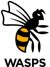 Wasps